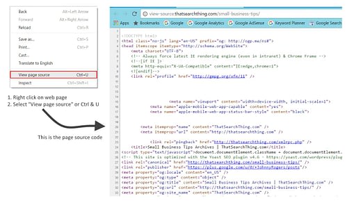 Use View Source to see web page source code