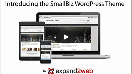 Small Biz WordPress Theme Video