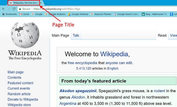 Page Title on Web Page