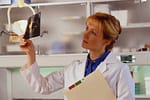 Ask Doctor Lynn Malone - Dental