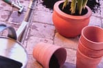 How to Avoid Spring Digging Injuries in the Garden 1
