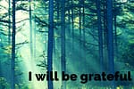 Image of Forest with Sun Shining Through - I will Be Grateful Today