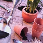 How to Avoid Spring Digging Injuries in the Garden 9