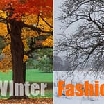 Fall and Winter Fashion Trends