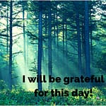 Image of Forest with Sun Shining Through - I will Be Grateful Today