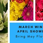 MayFlowersMarch WindsApril Showers