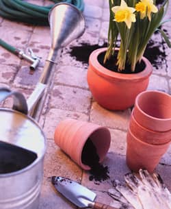 How to Avoid Spring Digging Injuries in the Garden 3