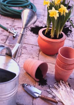 How to Avoid Spring Digging Injuries in the Garden