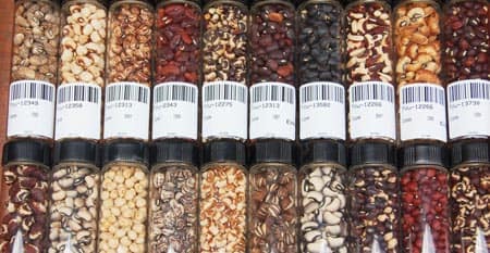cowpea_seed_collection