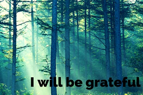 Image of Forest with Sun Shining Through - I will Be Grateful Today