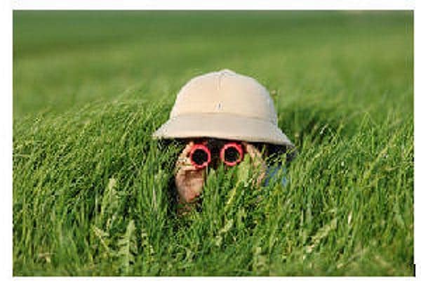 Discovering Your Purpose and Passion