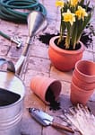 How to Avoid Spring Digging Injuries in the Garden