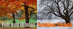 Fall and Winter Fashion Trends
