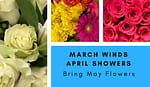 MayFlowersMarch WindsApril Showers