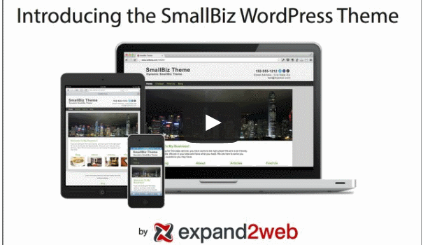 Small Biz WordPress Theme Video