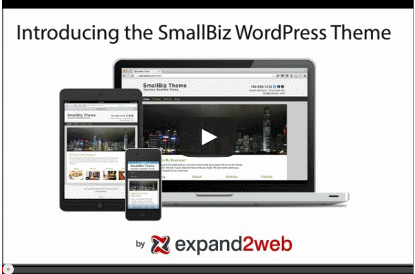 Small Biz WordPress Theme Video