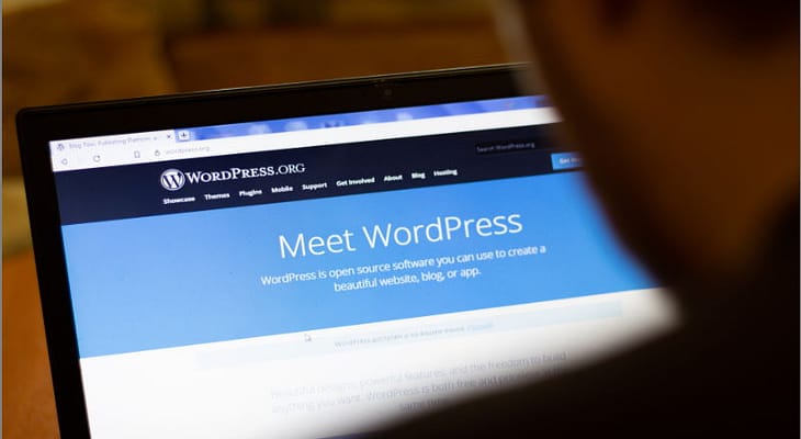 WordPress website on laptop screen | That Search Thing