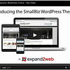 Small Biz WordPress Theme Video