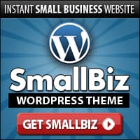 WordPress SmallBiz Theme