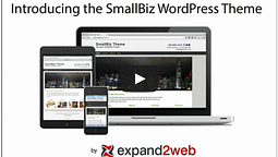 Small Biz WordPress Theme Video