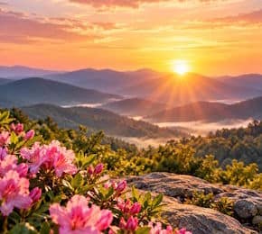 Positive Quotes for Women