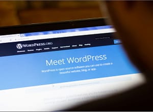 WordPress website on laptop screen | That Search Thing