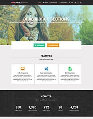 MyThemeShop One-Page WordPress Theme