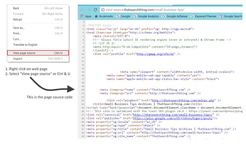 Use View Source to see web page source code
