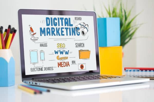 Digital Marketing & Search Visibility